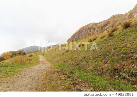 Beautiful  view of Japan autumn in Obuse park 49828091