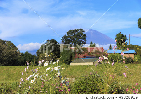 Mount Fuji (fall) Mount Fuji (fall) 49828919