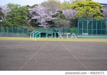 Baseball Grand 49829171