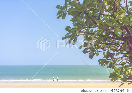 Sea beach in Thailand 49829646