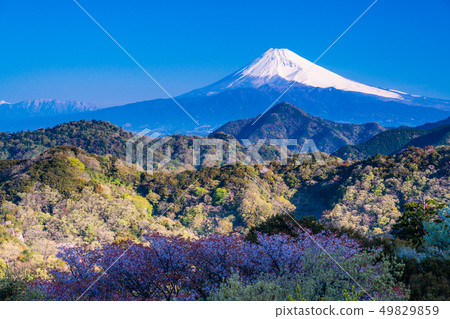 (Shizuoka Prefecture) Mt. Fuji seen from Izunokuni City and Mt. (Shizuoka Prefecture) Mt. Fuji seen from Izunokuni City and Mt. 49829859