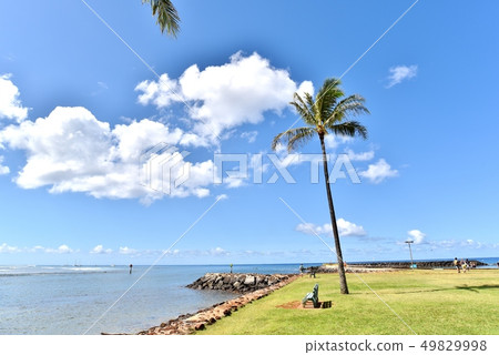 夏威夷的假期 49829998