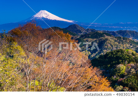 (Shizuoka Prefecture) Mt. Fuji seen from Izunokuni City and Mt. (Shizuoka Prefecture) Mt. Fuji seen from Izunokuni City and Mt. 49830154