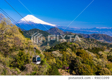 (靜岡縣)從伊豆之國市和山看到的富士山。 (靜岡縣)從伊豆之國市和山看到的富士山。 49831099
