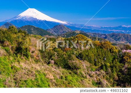 （靜岡縣）從伊豆之國市和山看到的富士山。 49831102