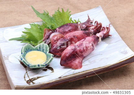 Boyle squid Boyle squid 49831305