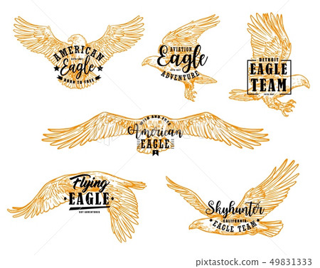 Eagle, hawk or falcon birds with letterings 49831333