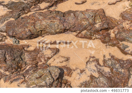 top view rock on the beach 49831773