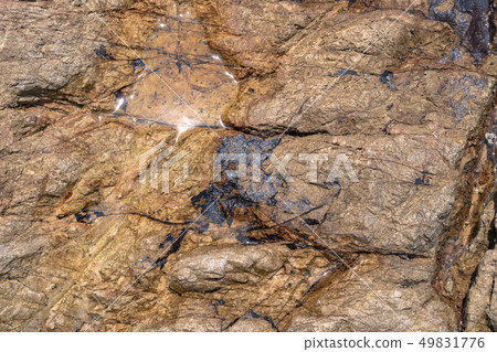 top view rock on the beach 49831776