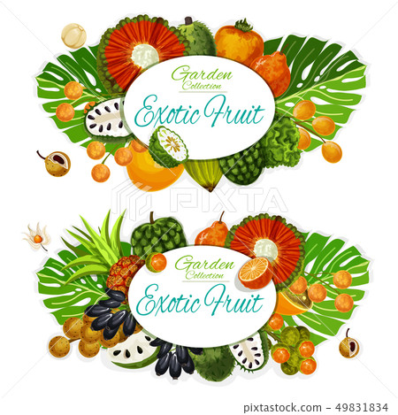 Exotic fruits and tropical berries. Food and drink 49831834