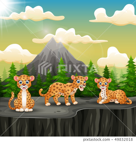 Three leopard cartoon enjoying on the cliff Three leopard cartoon enjoying on the cliff 49832018