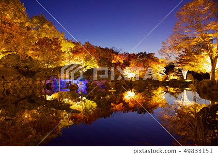 Sakurayama Park 49833151