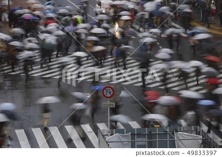 雨中的澀谷爭奪交叉點(長時間曝光) 雨中的澀谷爭奪交叉點(長時間曝光) 49833397