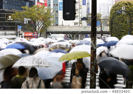 雨中的澀谷爭奪交叉點（長時間曝光） 49833403