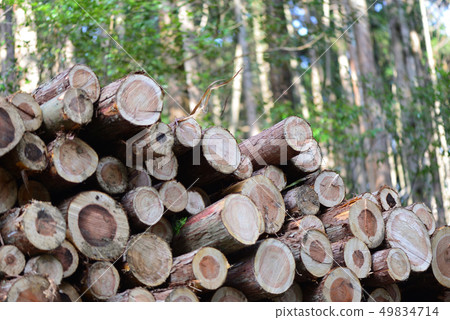 Cutting out thinning materials Cutting out thinning materials 49834714