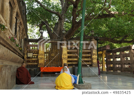 Mahabodhi Temple-Buddha-gayā (India) 49835425