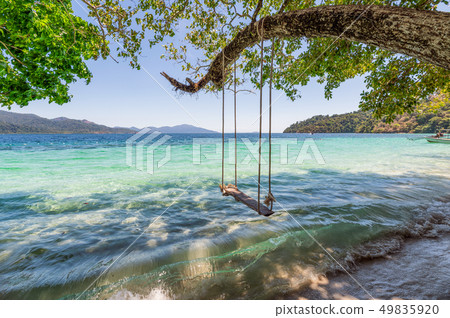 Wooden swing on tree in tropical sea Wooden swing on tree in tropical sea 49835920
