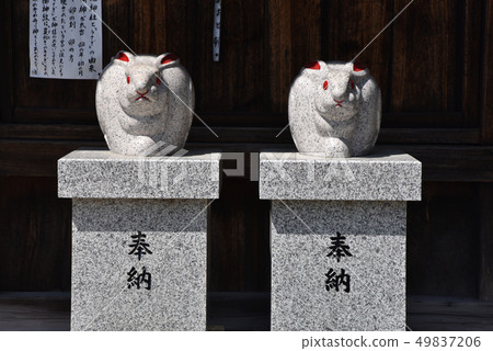 Mio Shrine Rabbit雕像 49837206