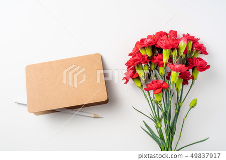 top view of carnation on white for mothers day top view of carnation on white for mothers day 49837917