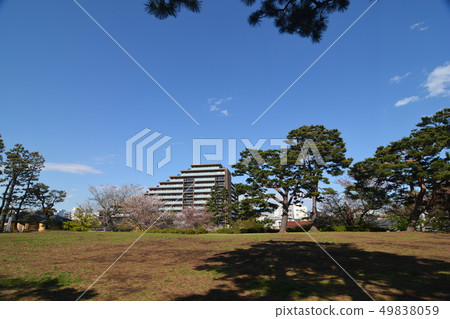 Ota Ward Kashiwa Park Ota Ward Kashiwa Park 49838059