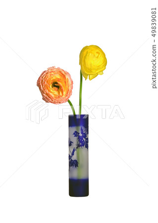 Ranunculus of the flower bottle 49839081