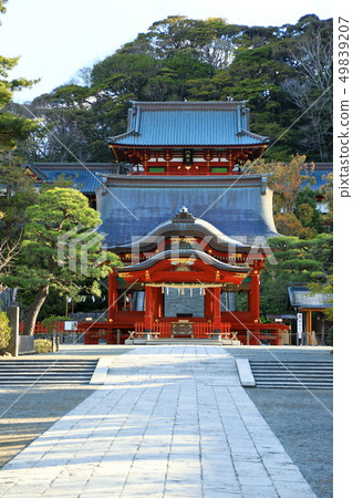 Kanagawa Shonan Kamakura Tsuruoka Hachimangu Shrine Kanagawa Shonan Kamakura Tsuruoka Hachimangu Shrine 49839207