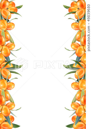 Sea buckthorn isolated on the white. Illustration in 3d style. The concept of realistic image of 49839680