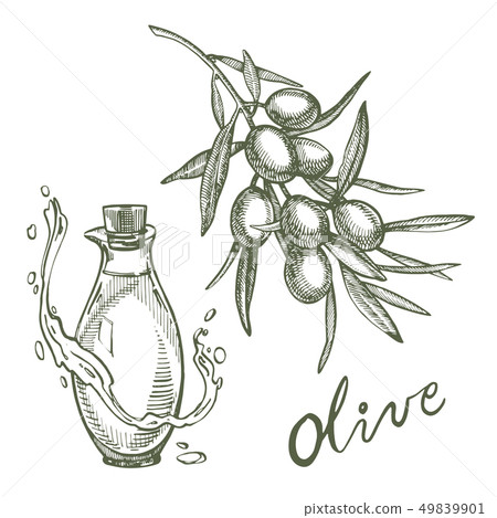 A branch of ripe olives is juicy poured with oil. Farmers market menu design. Organic food poster 49839901