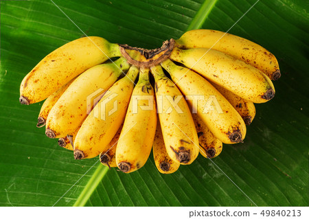 Bunch of fresh bananas on banana leaves Bunch of fresh bananas on banana leaves 49840213