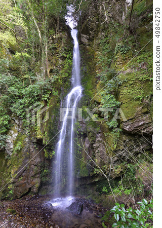 Fudo Waterfall (Tohaku-tori Tosu-gun) Fudo Waterfall (Tohaku-tori Tosu-gun) 49842750