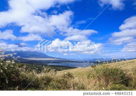 Panorama stand (autumn) 49843151