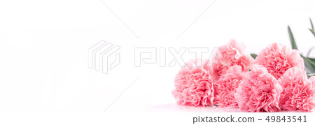 母親節Yasuno Kaoru花粉剪切路徑頂視圖剪切路徑樣機 母親節Yasuno Kaoru花粉剪切路徑頂視圖剪切路徑樣機 49843541