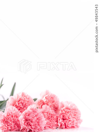 母親節Yasuno Kaoru花粉剪切路徑頂視圖剪切路徑樣機 母親節Yasuno Kaoru花粉剪切路徑頂視圖剪切路徑樣機 49843543