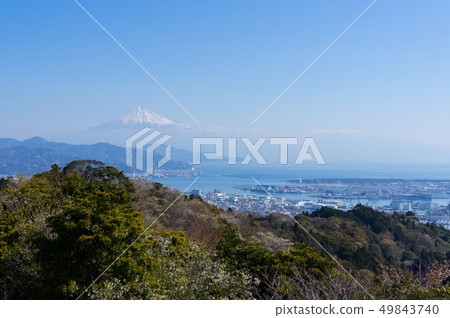 Mt. Fuji in Nihondaira Mt. Fuji in Nihondaira 49843740