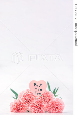 Mother's Day Yasuno Kaoru Flower powder clipping path top view clipping path mockup Mother's Day Yasuno Kaoru Flower powder clipping path top view clipping path mockup 49843784