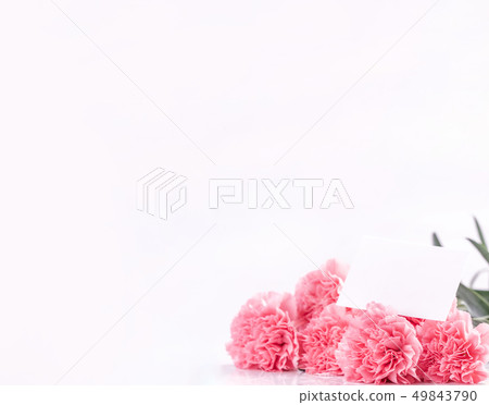 Mother's Day Yasuno Kaoru Flower powder clipping path top view clipping path mockup 49843790
