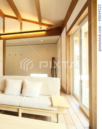 Stylish living of a pet living designer house Stylish living of a pet living designer house 49844525