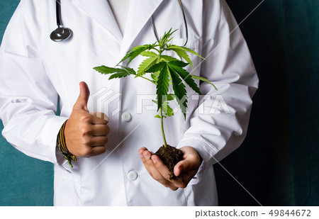 Scientist holding a marijuana branch close up 49844672