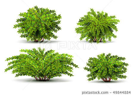 Shrubbery, 3d isometric bushes isolated on white vector set 49844884