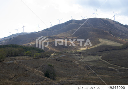 Izu Inatori Hosono Kogen 49845000