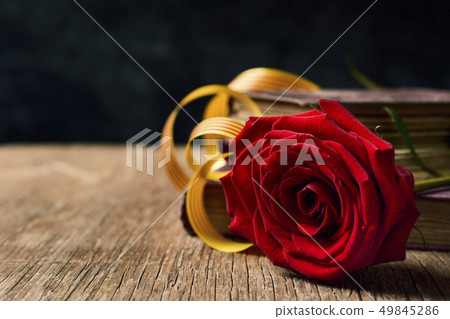 red rose, catalan flag and books 49845286