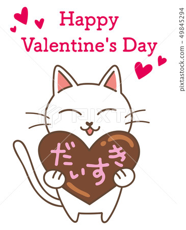 Cat and chocolate 49845294