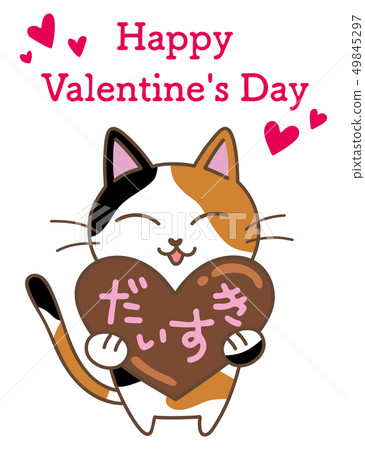 Cat and chocolate 49845297