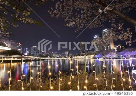 湖的夜視圖有櫻花的 49846350