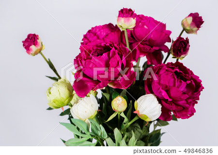 A bouquet of burgundy peonies A bouquet of burgundy peonies 49846836
