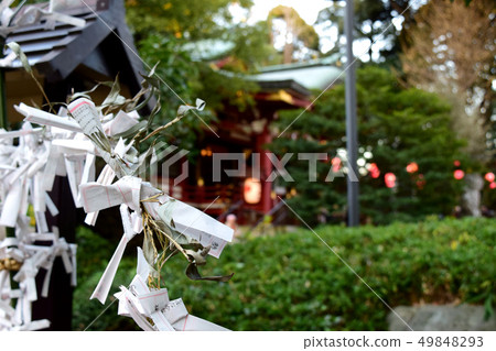 神社的Omikuji 神社的Omikuji 49848293