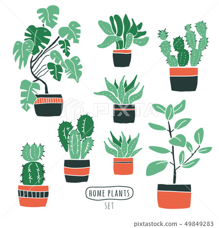 Set of cute Flowers in vases. house plants 49849283