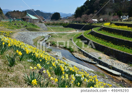 大宇的景觀 49849293