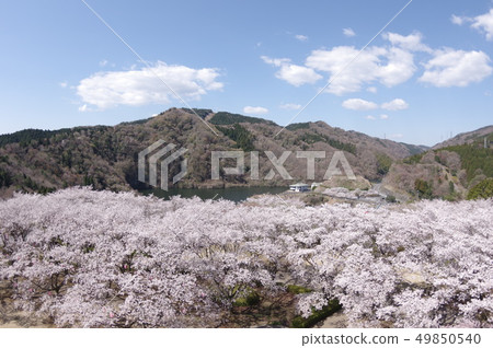 十王全景公園2 十王全景公園2 49850540