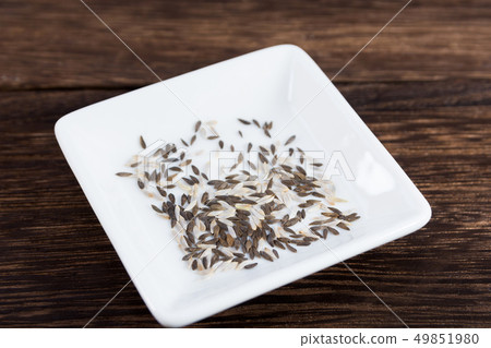 Leaf lettuce seed Leaf lettuce seed 49851980